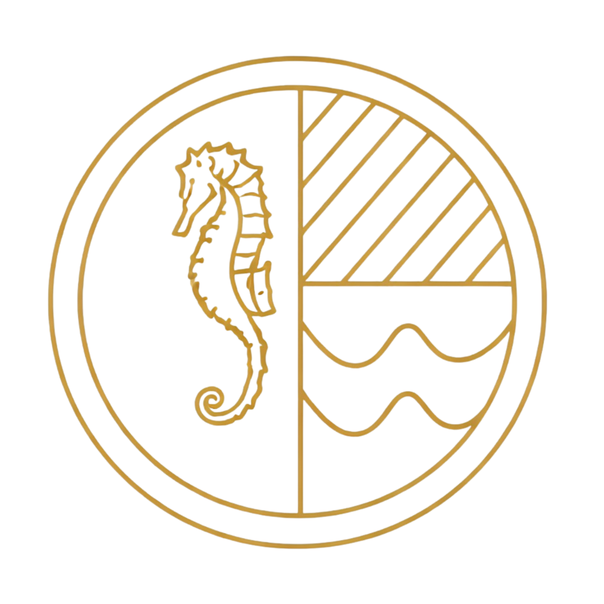 ZEE_LOGO (1)